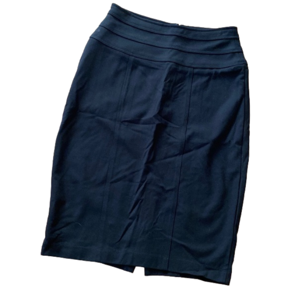 CAbi skirt